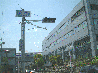 精道小学校前交差点の信号機の写真