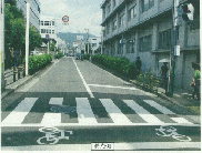 県道現況写真