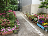 花壇1